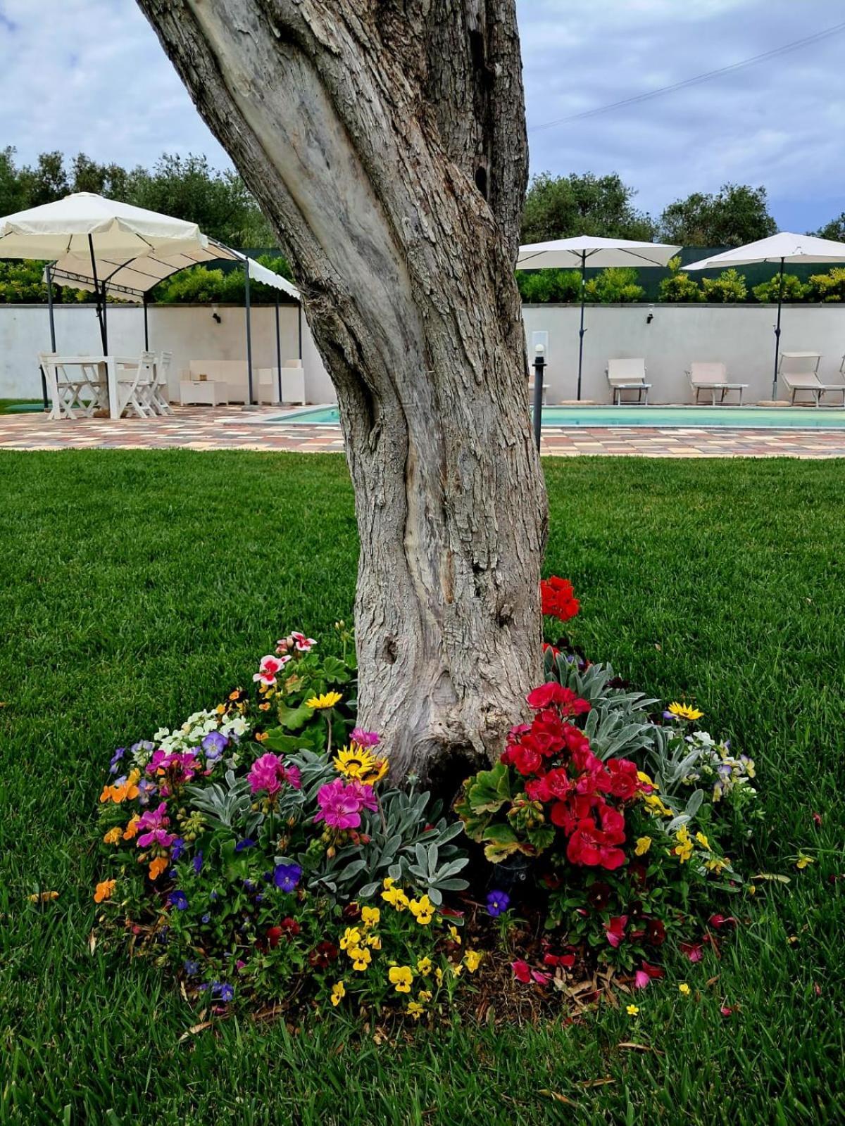 Villa Ginevra سان باسكوالي المظهر الخارجي الصورة